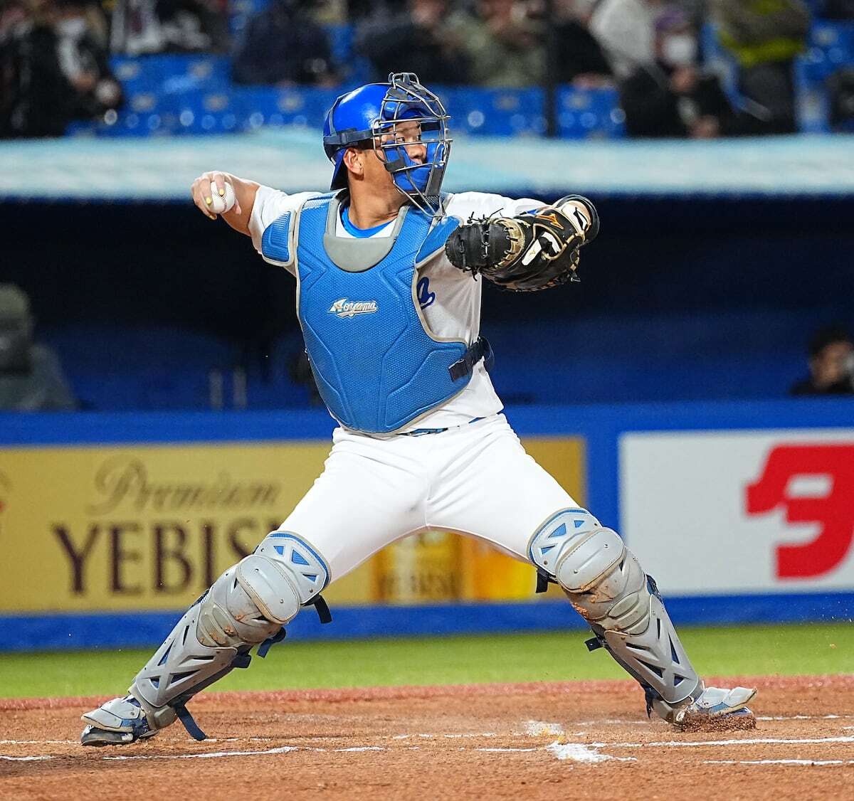 🔥捕手大热门！青学悍将，豪门争夺！