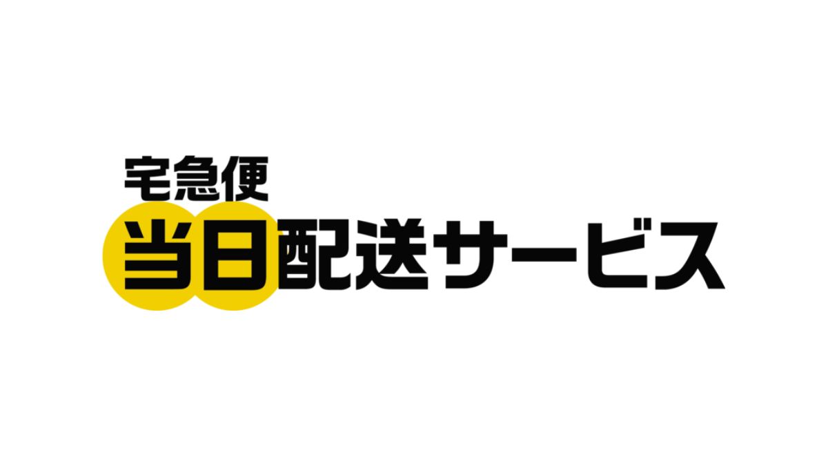 🚀当日达！同城快递，快到飞起！