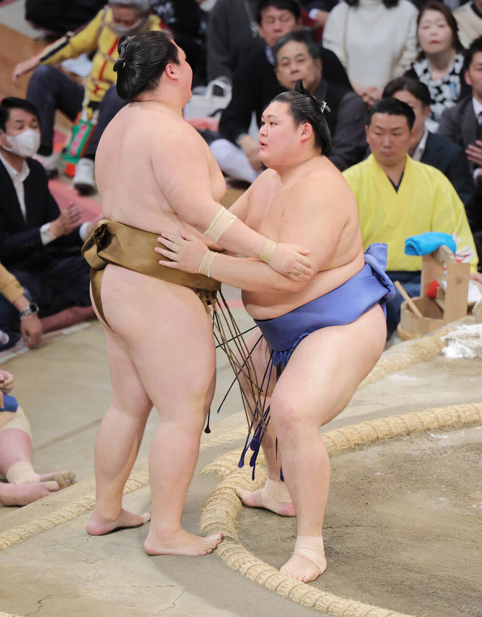 🔥横扫！三大巨头并驾齐驱，谁是最后的赢家？