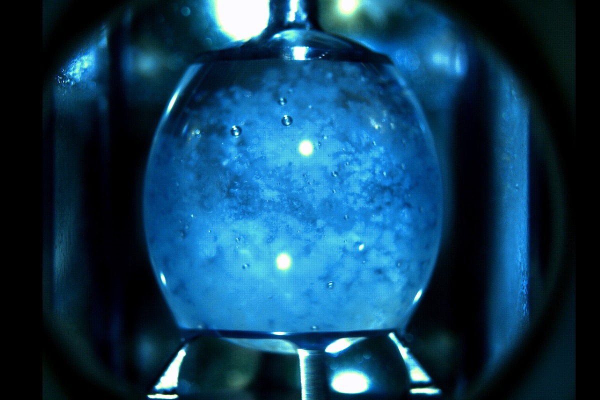 🧠 痴呆症蛋白竟藏生命起源密码？！