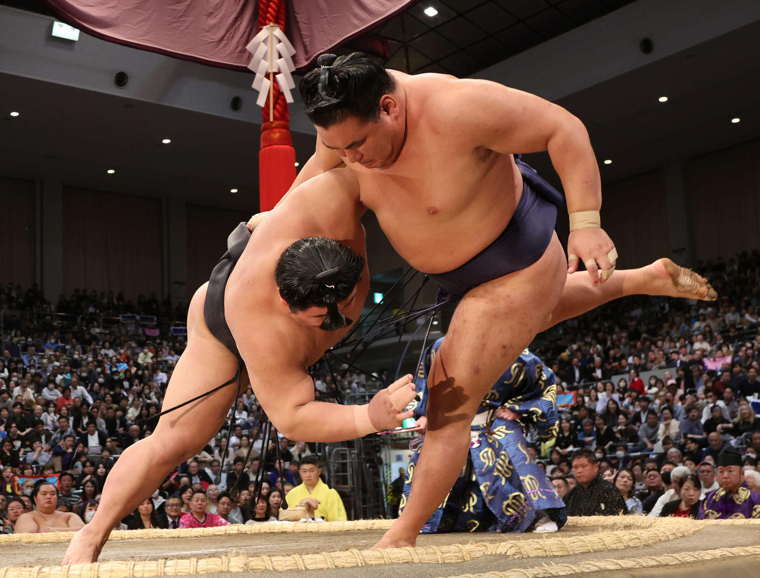💥大地震突发！相扑直播竟…直接中断！
