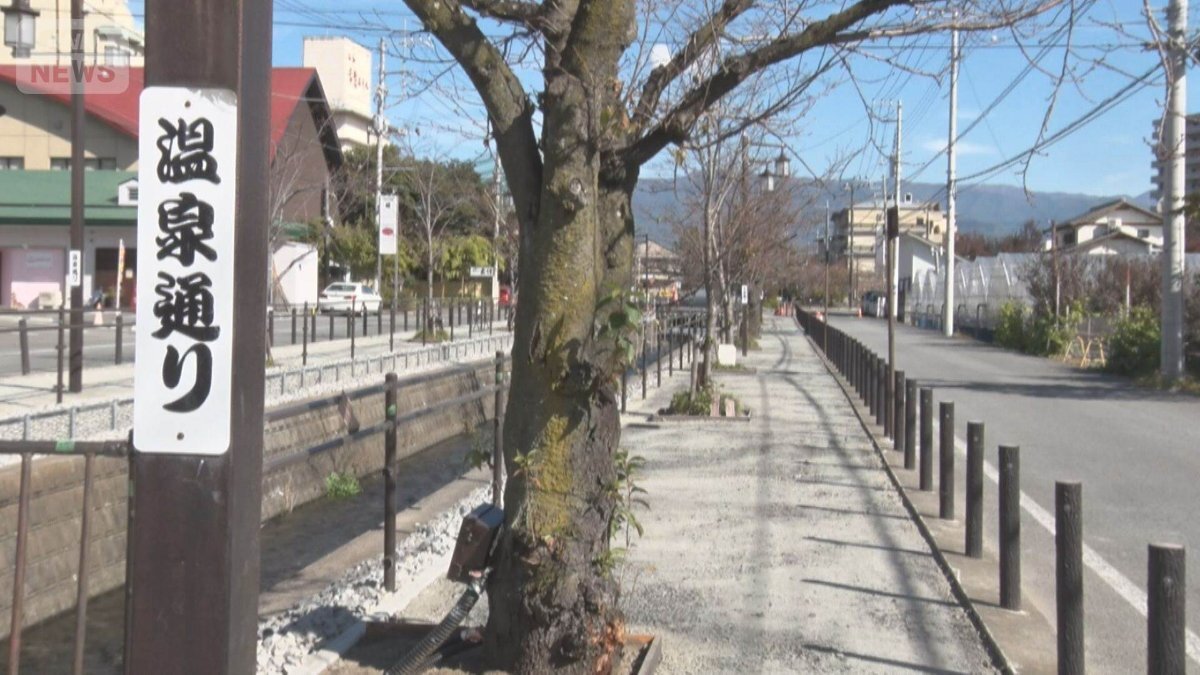 💰富士山脚下被“抄家底”！日本土地真便宜？