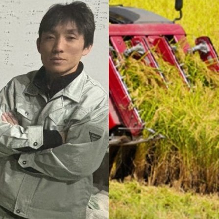 🍚米价飞涨！囤粮的都傻眼了，大户：早撤了！