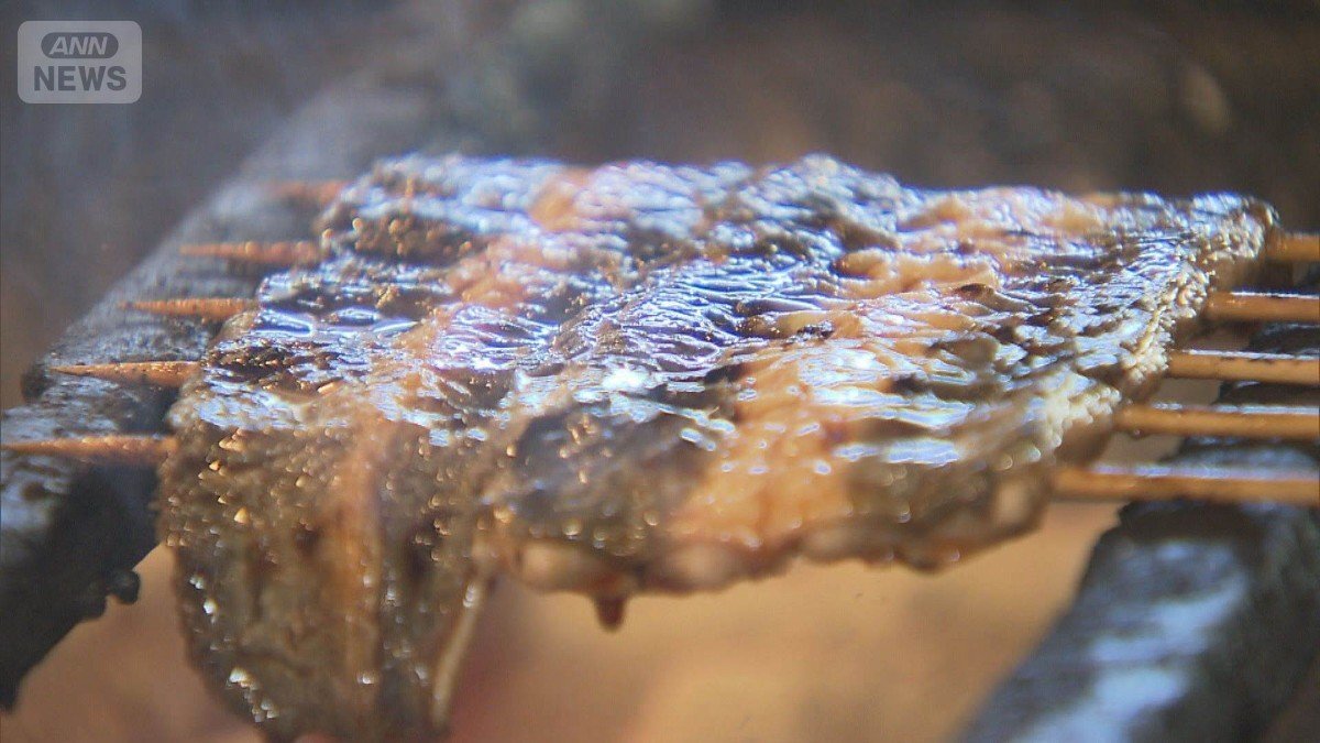 🔥鳗鱼要“绝种”？欧盟管了，日本不干！