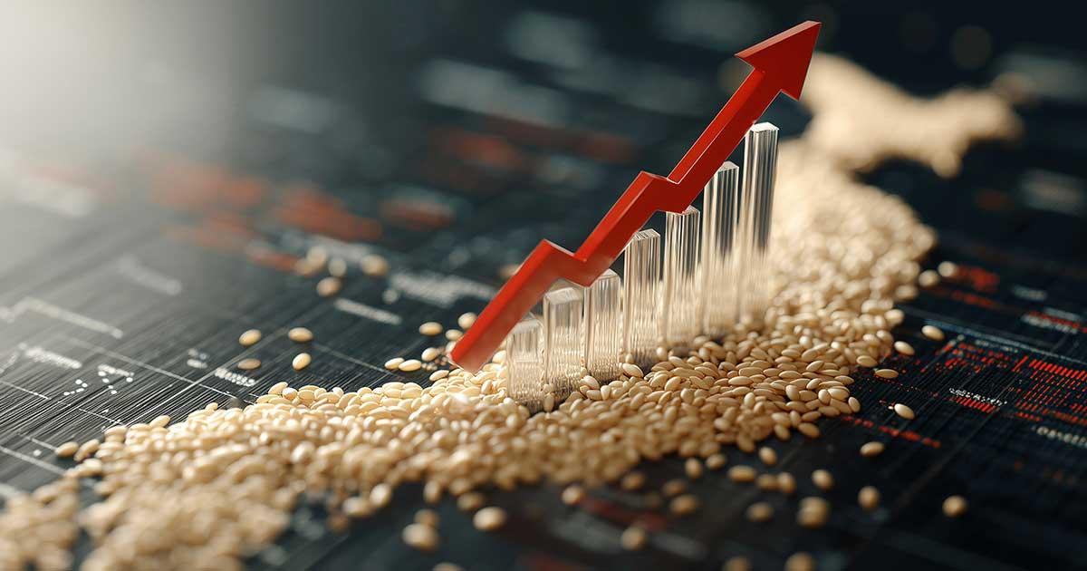 🍚米价飞涨！囤粮也没用？自民党别再祸害农业！