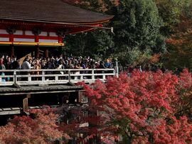 🇯🇵📉 赴日游凉了！取消潮致1900亿损失！