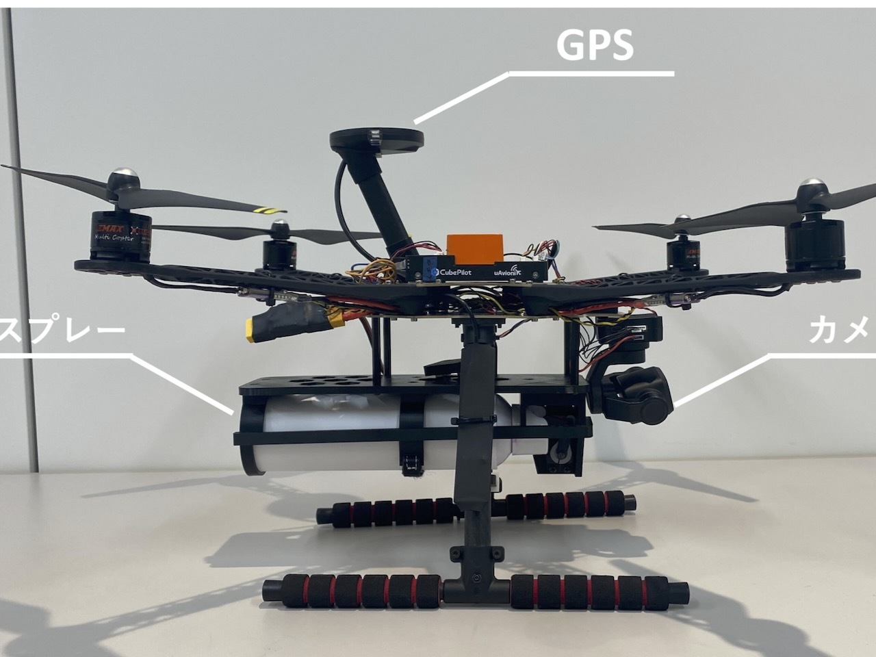 ⚠️熊来了！天上的“保护网”？