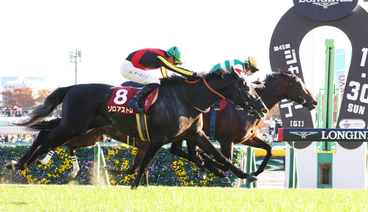 🎉又中大奖！4.3亿日元！一个月内四次！