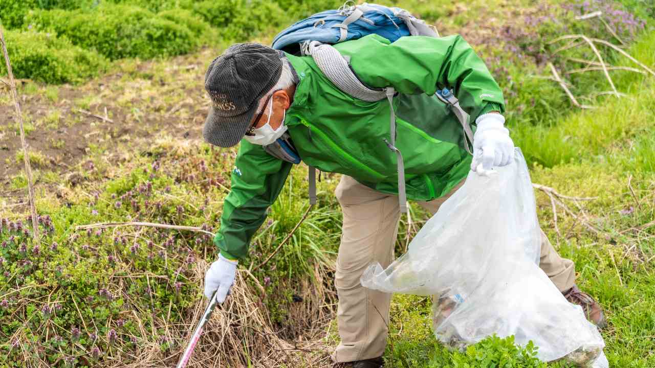 🏡 告别田野，72岁老夫妻：东京，我们回来了！