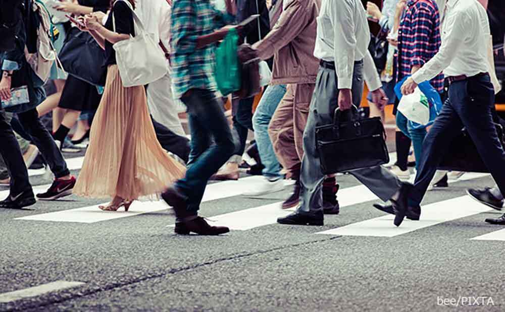 💥迷惑网红：越玩越野？揭秘“被关注”的脆弱心！