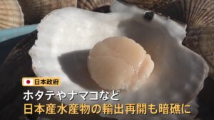 🌊 台湾“解冻”日货，背后藏着啥？ 封面