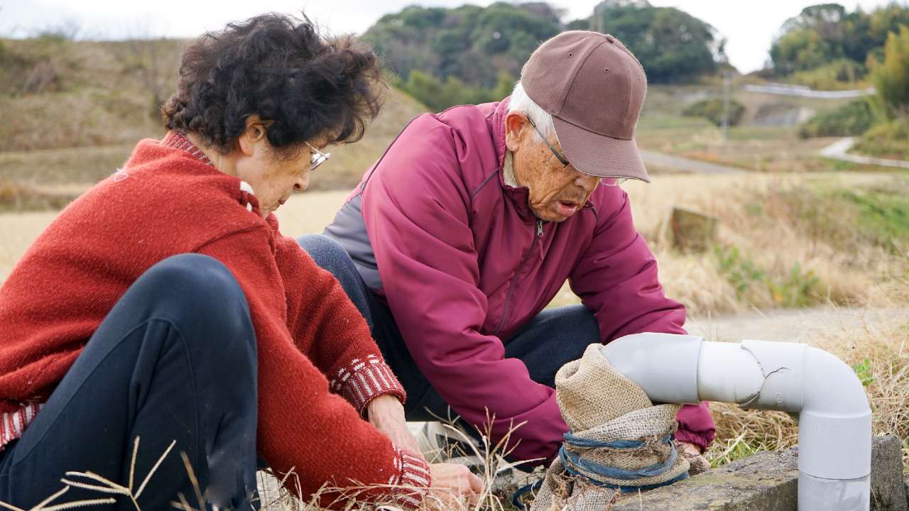 🏡 告别城市，68岁夫妻移乡后…半年女儿崩溃的真相！