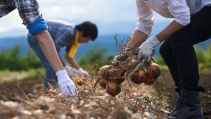 🌱逃离城市，2年后…理想与现实狠狠打脸！ 封面