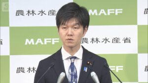 🍚 补贴变了？米价稳如泰山！ 封面