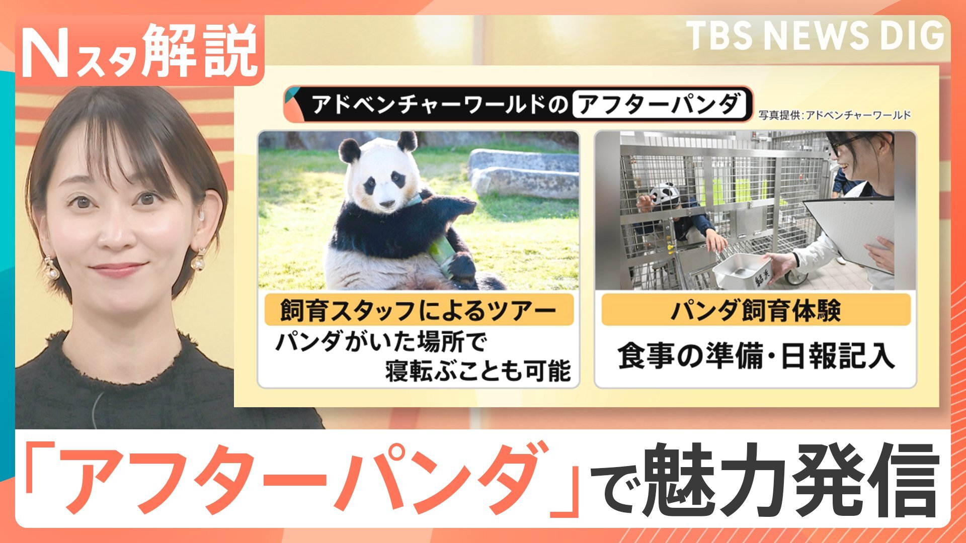 🐼大熊猫回家，308亿收益蒸发？和歌山另辟蹊径！