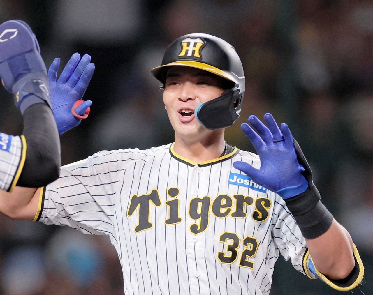 💥阪神弃将转投乐天！粉丝：别再被埋没啦！😭