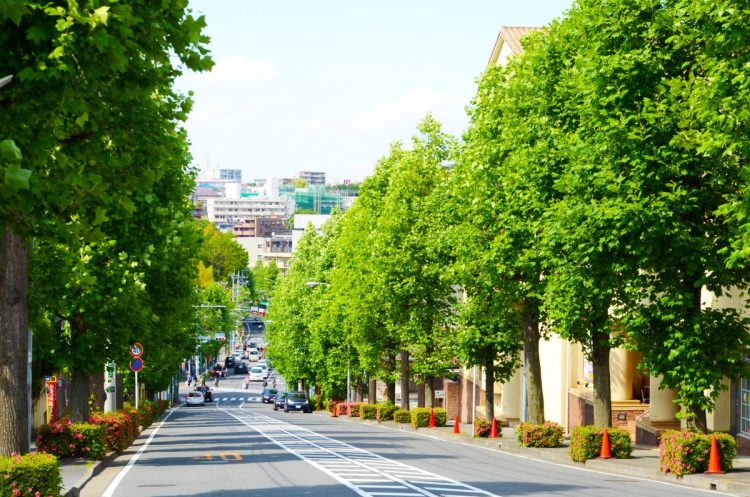 📉 神奈川“鬼”城：房价高、通勤累，好地段也崩塌！