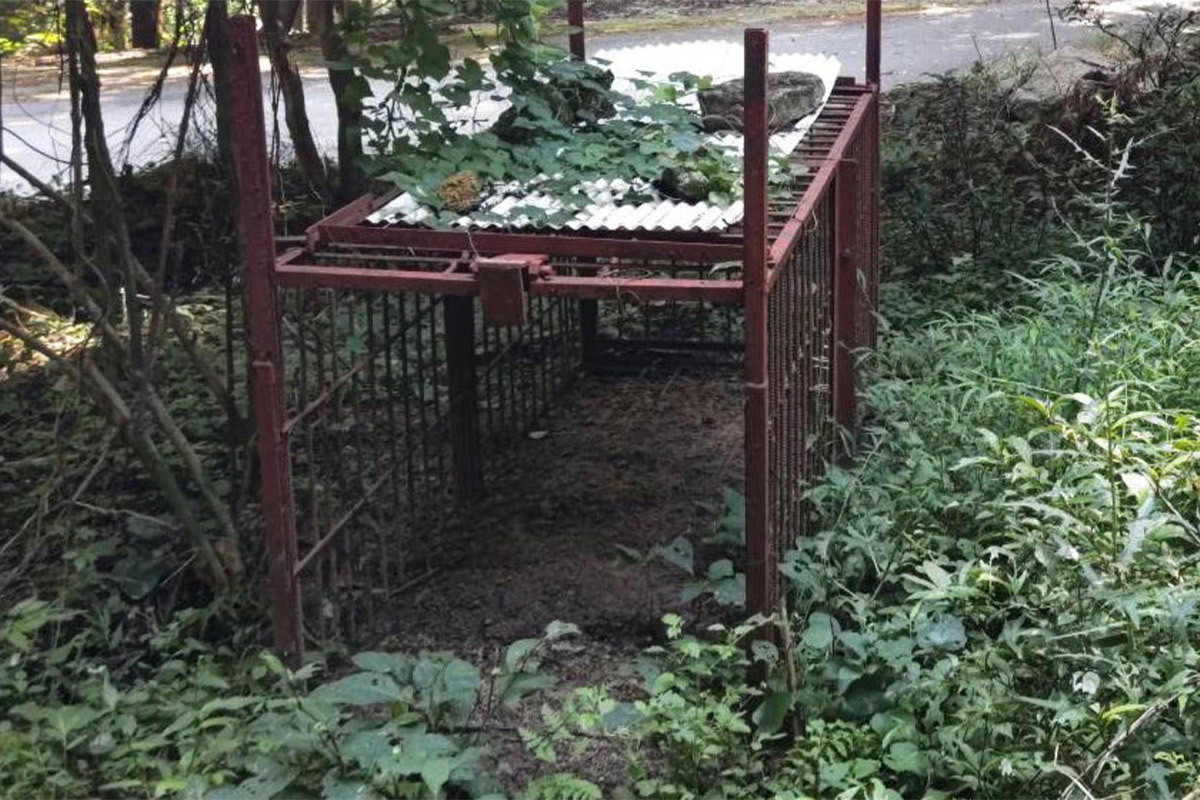 🚨猎人怒了！偷走灭鼠笼，这恶作剧太狠！