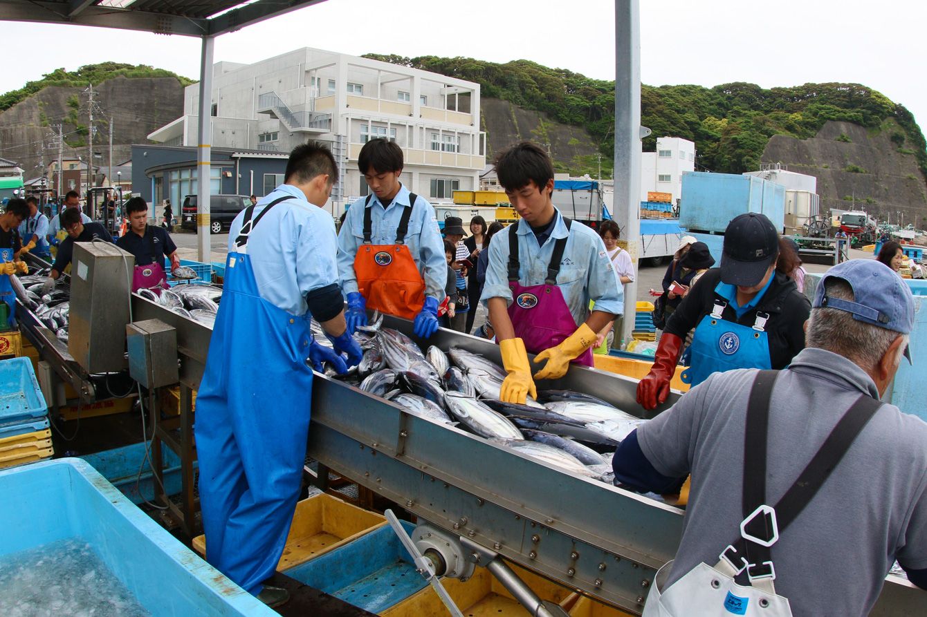 🇯🇵😱日本变天！移民暴增，世界第三！