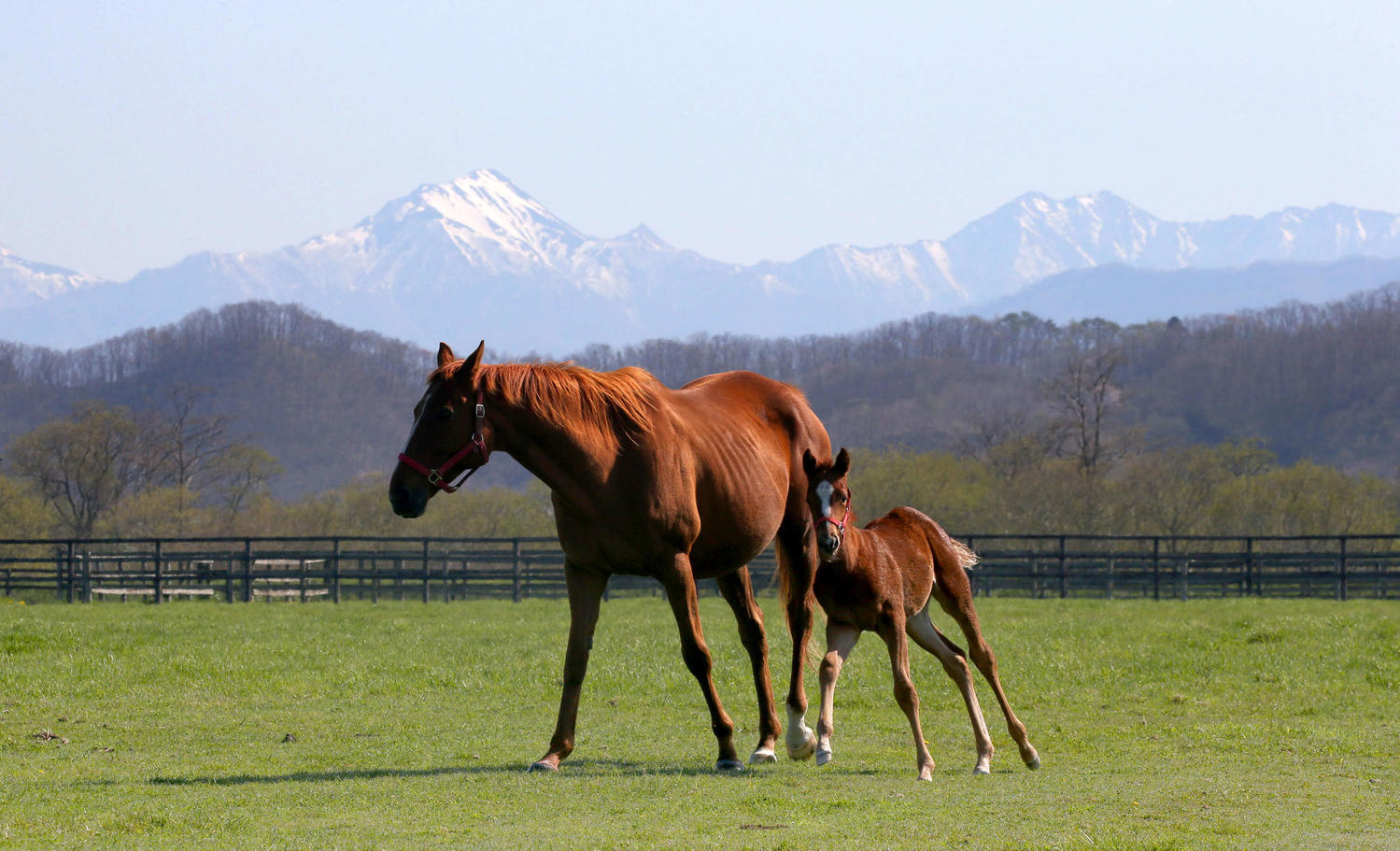 💥皇室X号令：别联系农场！大错特错！🚫