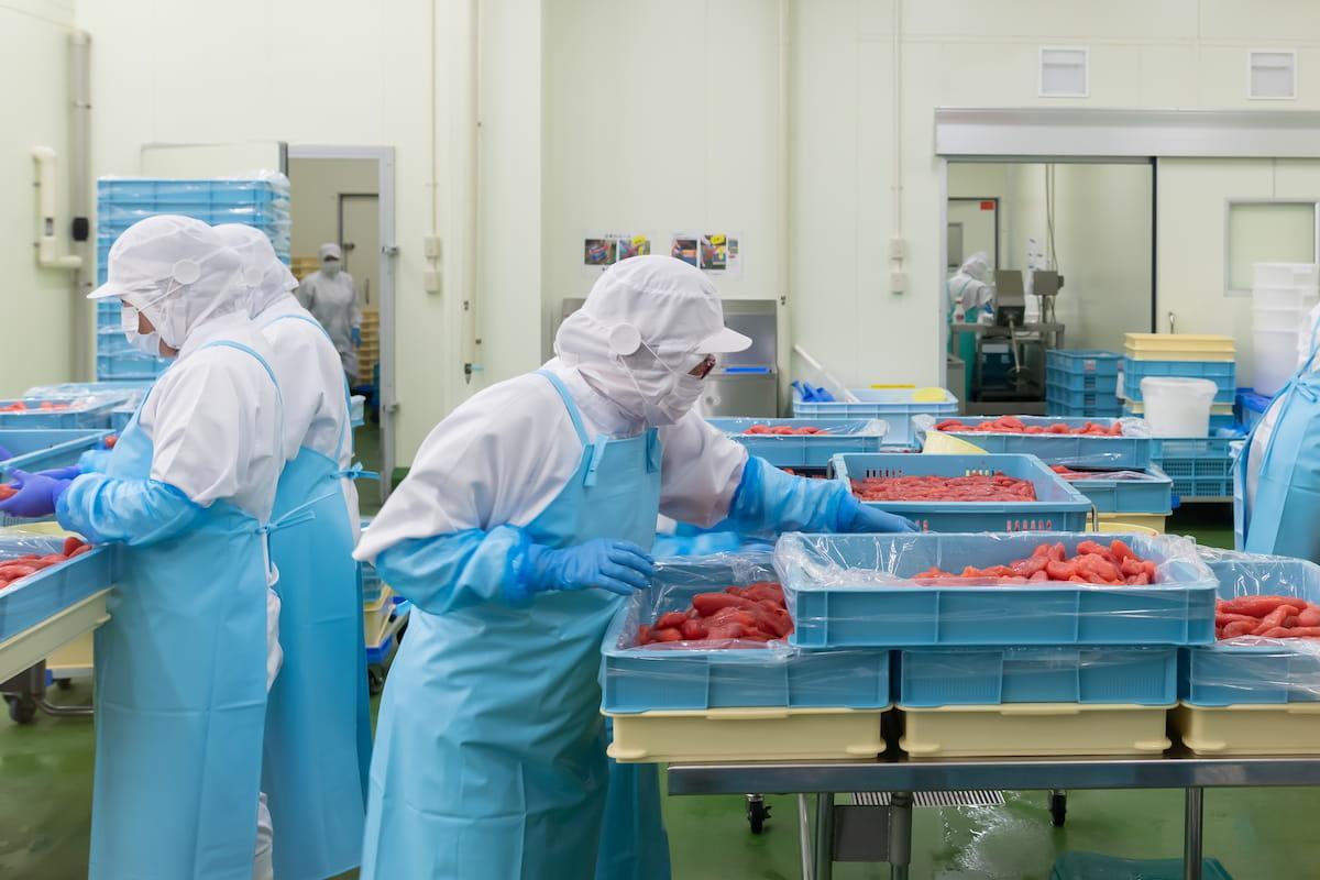 🇯🇵️ 人口断崖？日本产业界的反转奇迹！