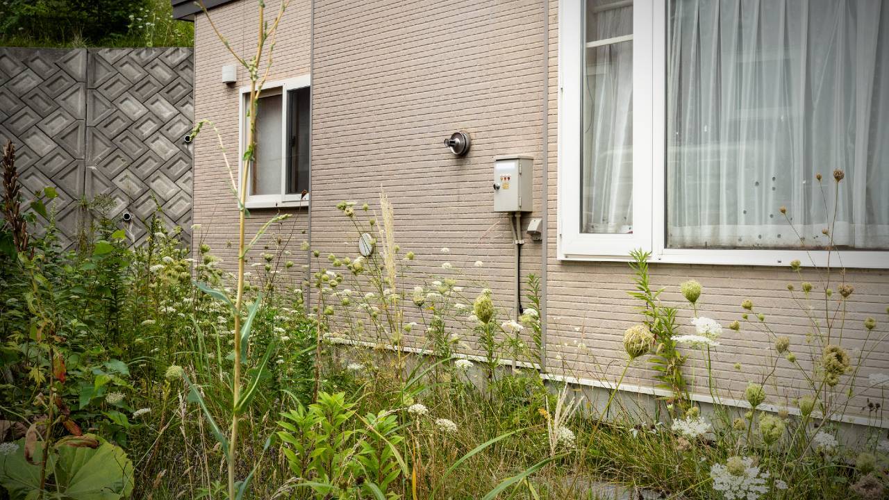 🏡后悔搬郊外！1600万年薪夫妻：孩子爱玩，我们却想回高楼！