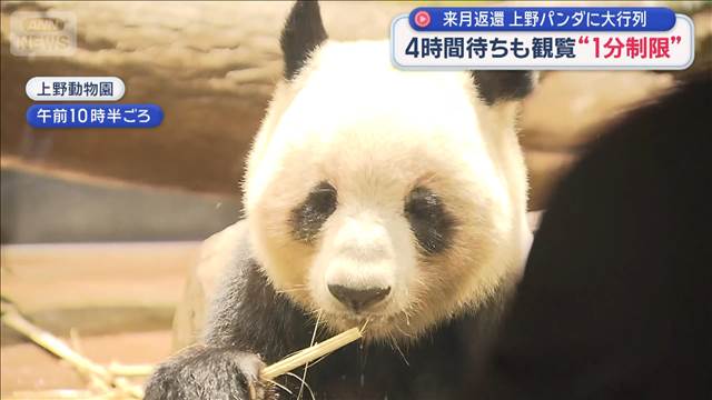 🐼排队4小时，只看熊猫1分钟？！太疯狂了！