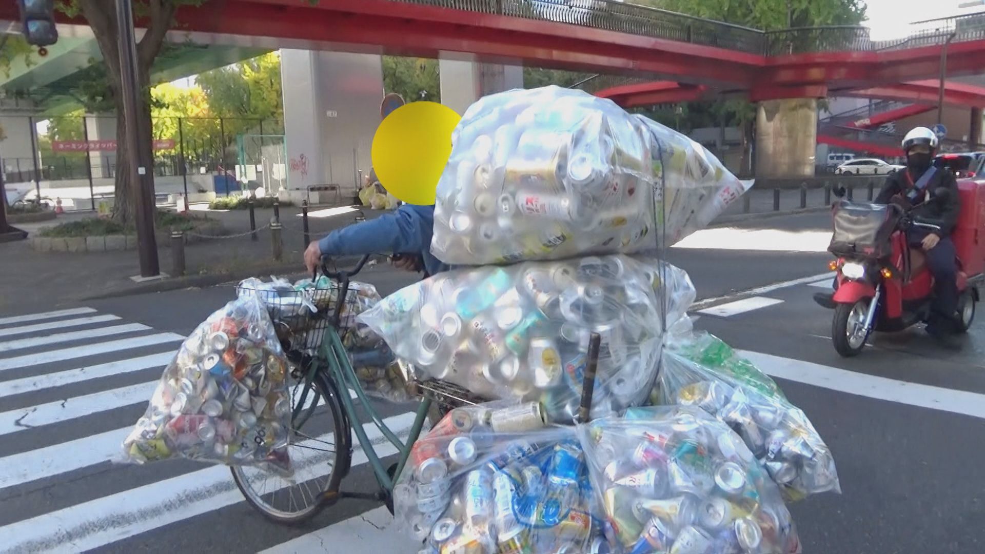 ⚠️“怕被盯上…”禁止捡废品？他们：没饭吃！