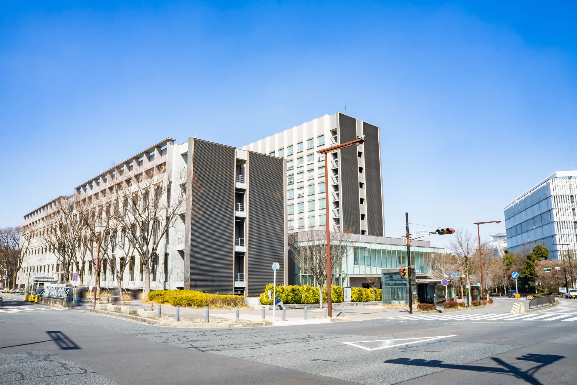 🔥年轻人疯传！想去的大学，竟然是这里？