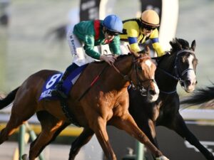 🐎外马难赢！狂赚10亿的“逆袭”内幕！ 封面