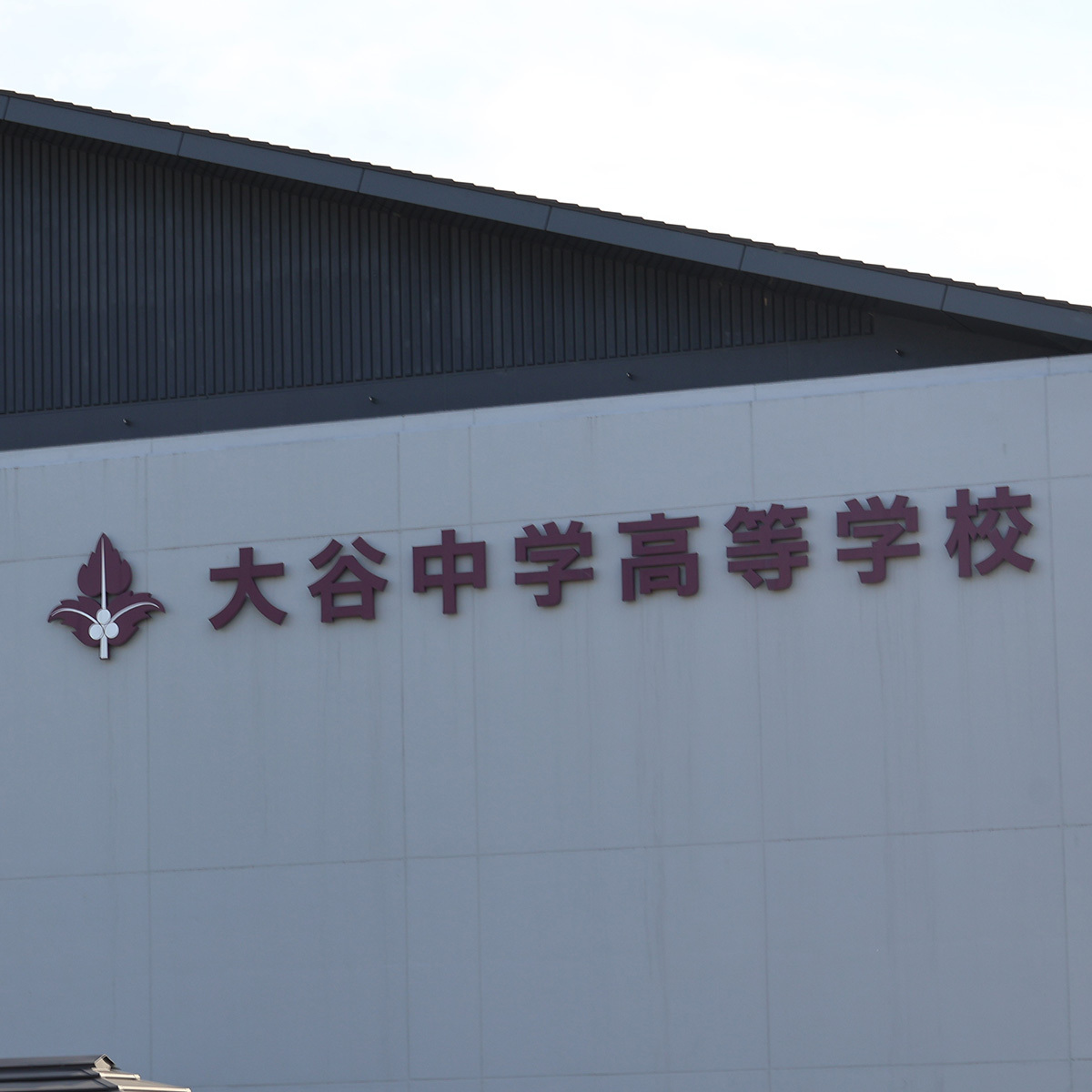 💥名校劣迹！京都学霸竟在巴厘岛盗窃！😱