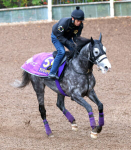 🔥逆袭！它真的要赢了？年度大戏，绝不冷场！ 封面
