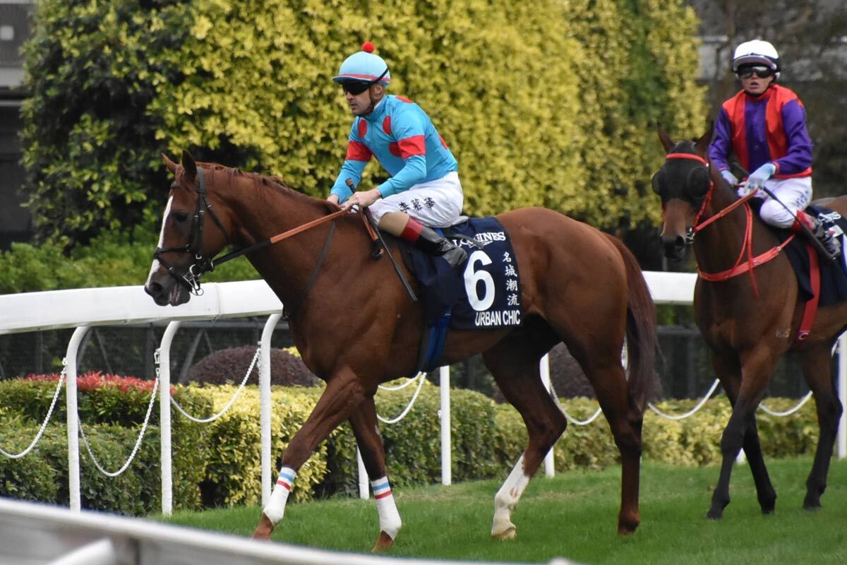 🏆港赛惊艳！昔日黑马反击夺冠，领跑者竟垫底！