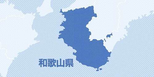 ⚠️日媒惊爆：和歌山七泉被买？官方：假的！