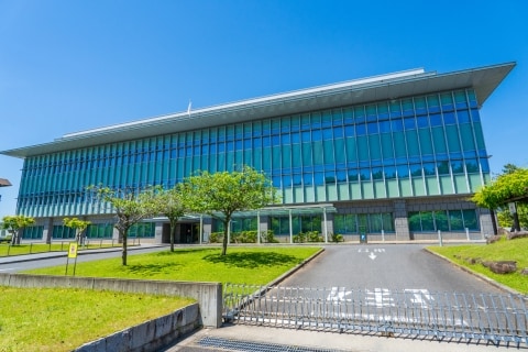 💥他为何如此？安倍遇刺案，真相揭秘！