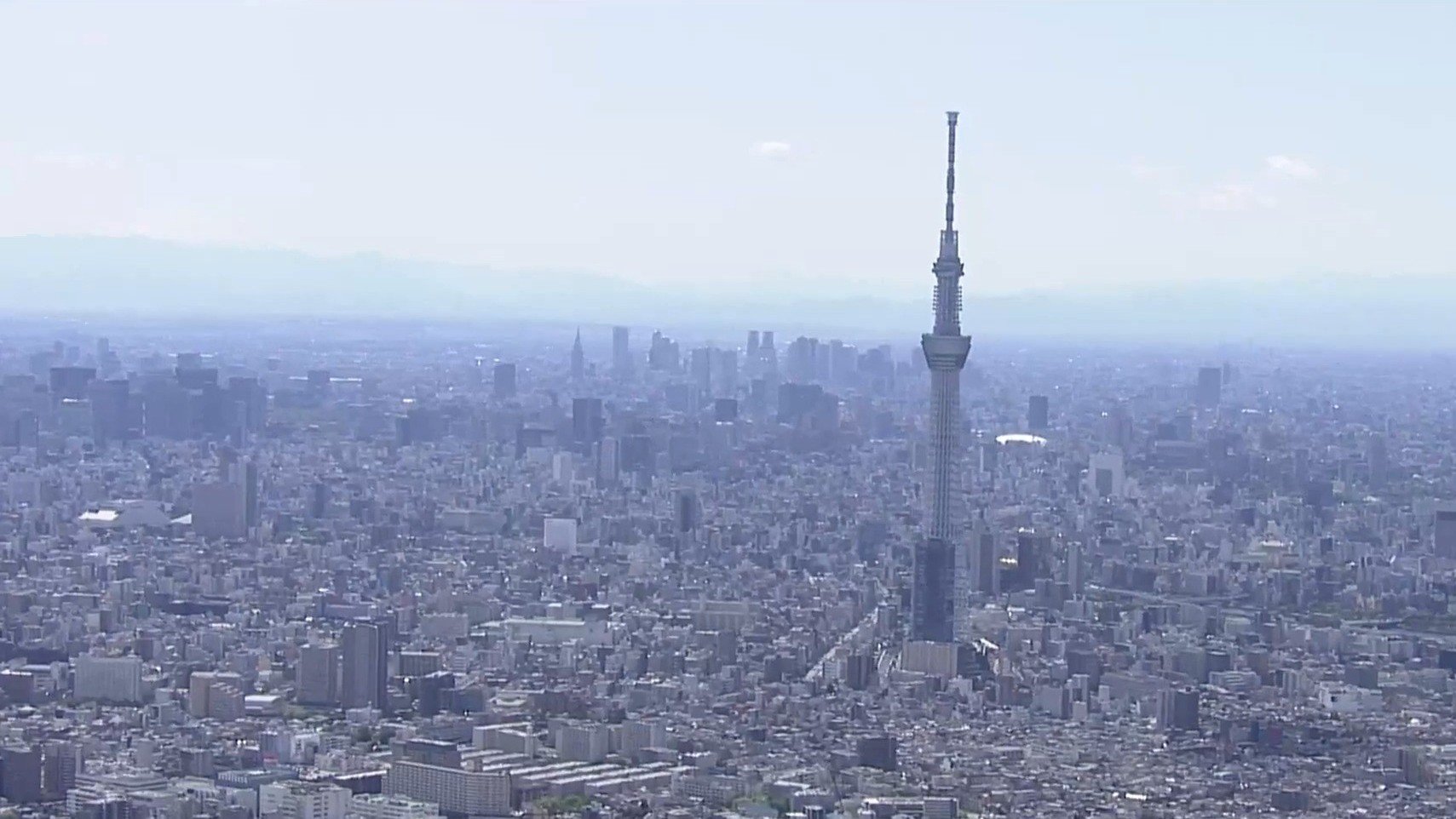 💰别让钱包失血！稳住物价，振兴经济！