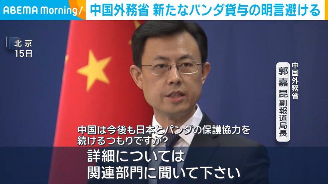 🐼 大熊猫不来！中国这次真“绝情”了？