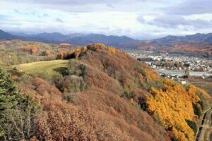 🍇大好地变“发电场”？违建遭曝光！ 封面