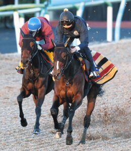 💥心痛！强马退出比赛，主人：实在撑不住了！ 封面