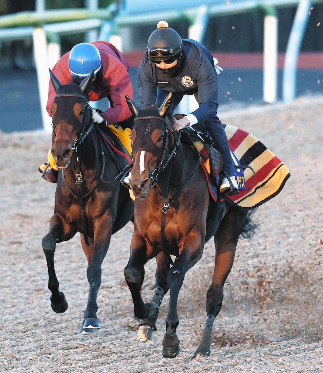 💥心痛！强马退出比赛，主人：实在撑不住了！
