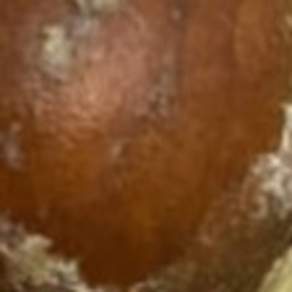 🥑🥑🥑 买了牛油果，切开后…我裂开了！简直绝了！