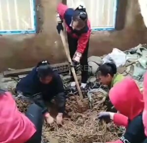 🚨朝鲜女子工潮：生娃的妈也送中！😱 封面