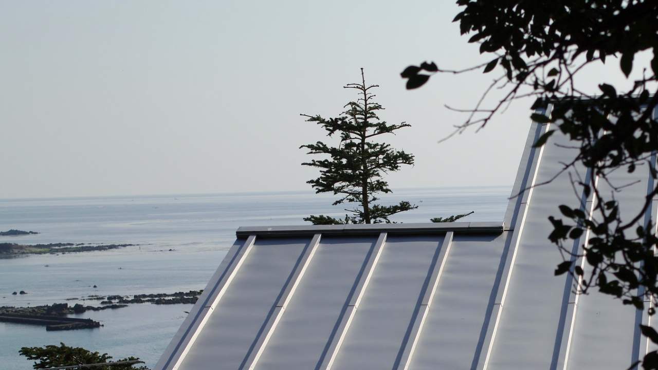 🌊 妻子想靠海住，2年后丈夫一句话…我愣住了！