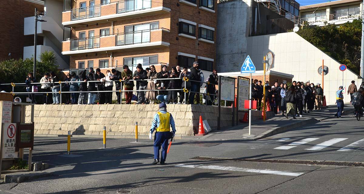 ⚠️镰仓铁轨：AI“盯”游客，人太多也抓！