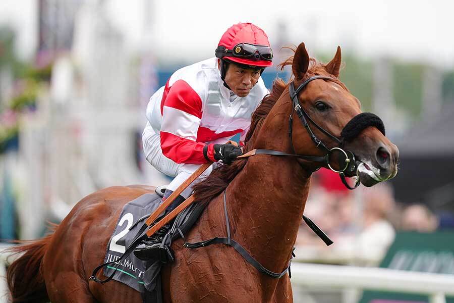 🔥这波操作，有点东西！G1有马纪念骑师已定！