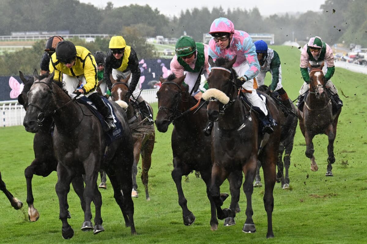 💥英国女骑师：没钱，跑不动了！