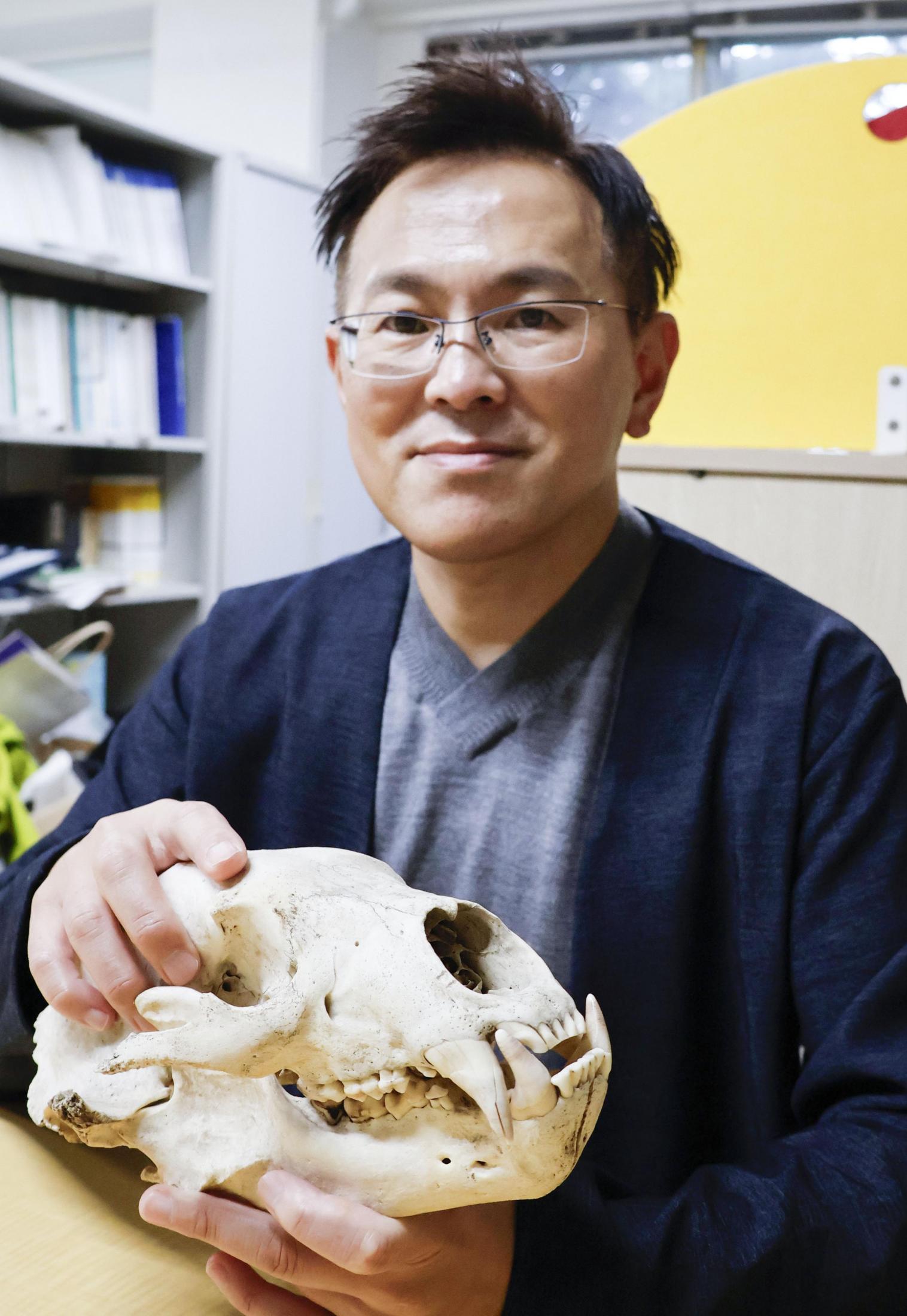 🚨东北惊！熊伤人又伤狗，乖乖在家才是王道！