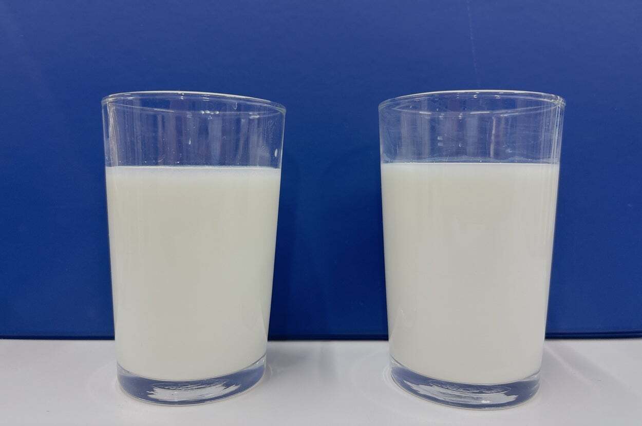 🤯农水大臣也懵了！这区别，你能看懂吗？