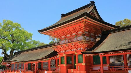 👑天皇竟选家业继承人？与中国皇帝的血统大不同！