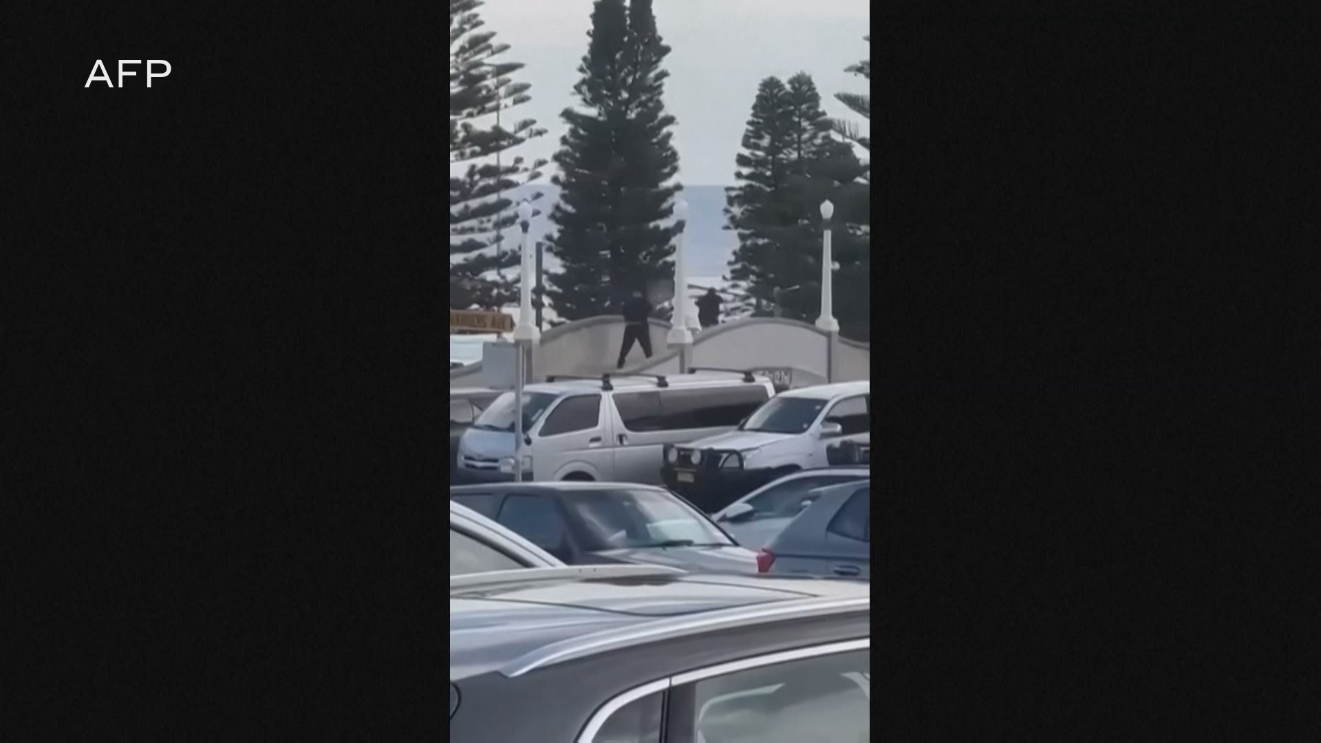 💥悉尼海滩突发枪击！11人遇难，节庆变噩梦！